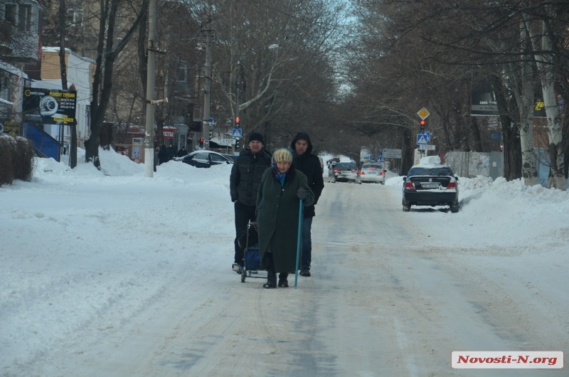 Николаев вышел на уборку города с лопатами. ФОТО