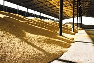 Жители Николаевской области умыкнули со склада 5 тонн зерна