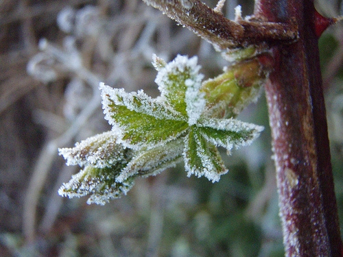 В Николаеве и области прогнозируют грозовые дожди и ночные заморозки 
