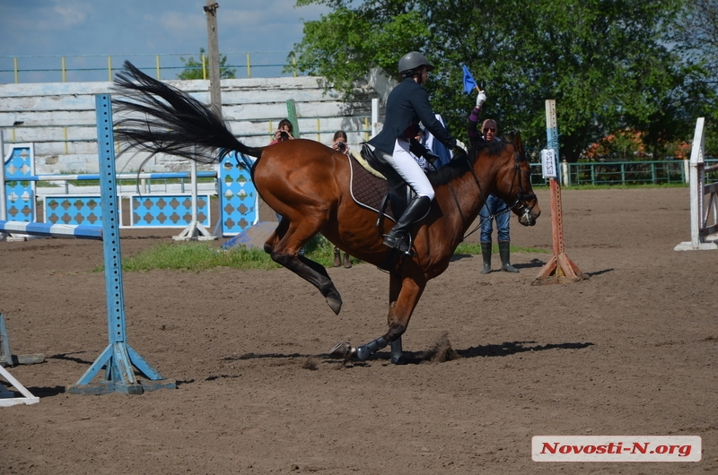 Грациозность в действии: в Николаеве стартовал чемпионат по конному спорту