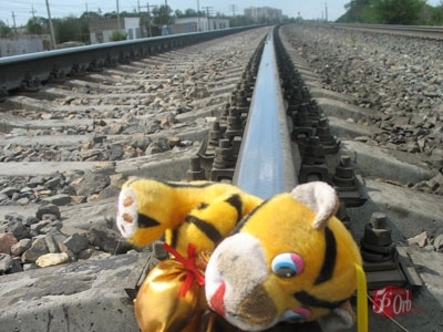 В Сумской области двухлетнего ребенка переехал поезд