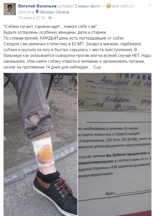 Николаевца укусила бездомная собака: сыворотки от бешенства в больнице не оказалось
