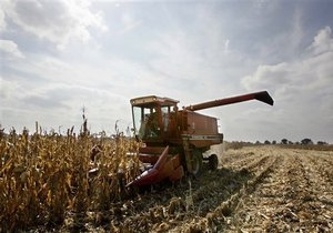 Крупнейшая сельскохозяйственная сделка в Николаеве может быть аннулирована