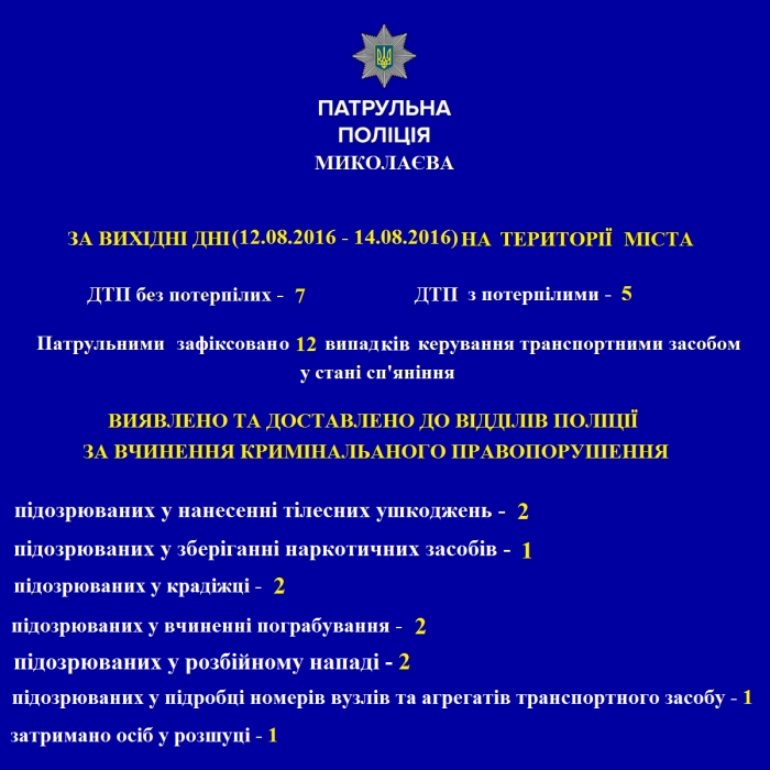 В Николаеве за выходные патрульная полиция задержала 11 человек