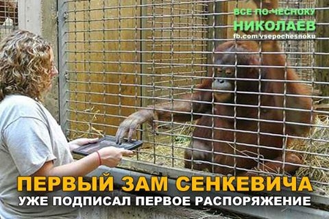 В сети смеются над Сенкевичем, заявившем, что замом мэра может быть обезьяна