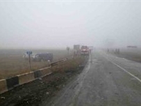 В Одесской области столкнулись в тумане два автомобиля, пострадали 7 человек