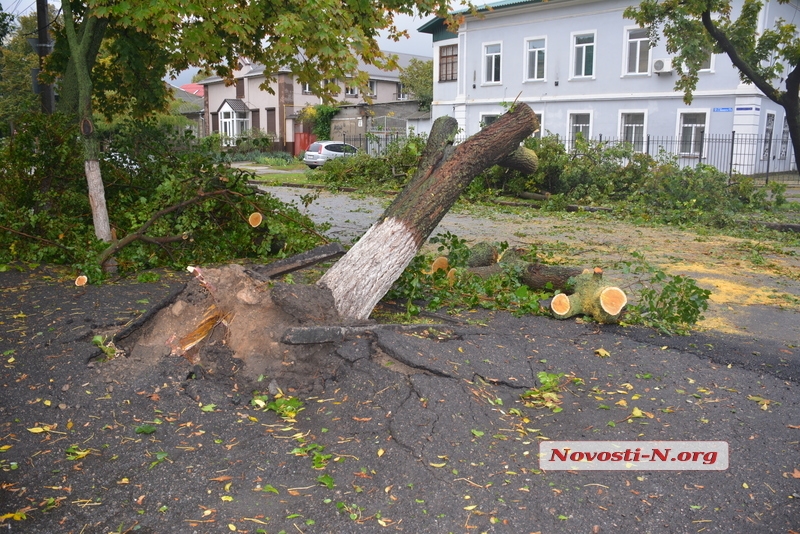 Последствия непогоды в Николаеве: поваленные деревья, оборванные сети и перекрытые улицы. ФОТО. ОБНОВЛЯЕТСЯ