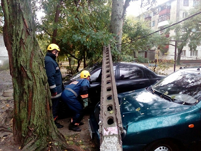  В Николаеве сильный ветер валил на автомобили деревья и столбы. ФОТО