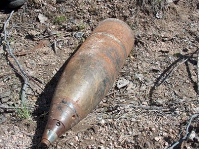 За один день в Николаевской области на полях найдено 4 артиллерийских снаряда и минометную мину