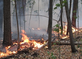 В Николаевской области участились пожары на открытых территориях