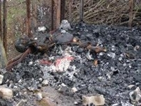 Житель Одесской области сгорел в собственном гараже