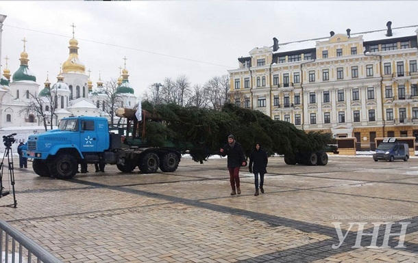 Главную елку страны привезли в столицу из Ивано-Франковской области