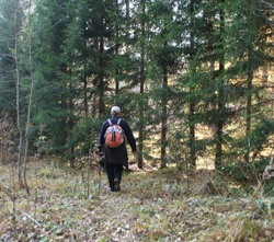 Спасатели разыскали заблудившегося в лесу дедушку-грибника, который в лесу перенес гипертонический криз (обновлено) 