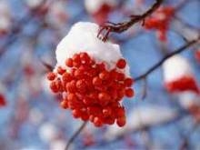 Завтра в Украине будет снежно и морозно