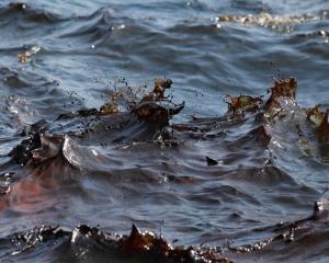 Из затонувшего судна, вышедшего из Николаева, в Черное море вылилась нефть