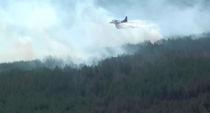 Спасатели показали видео тушения пожара в зоне отчуждения