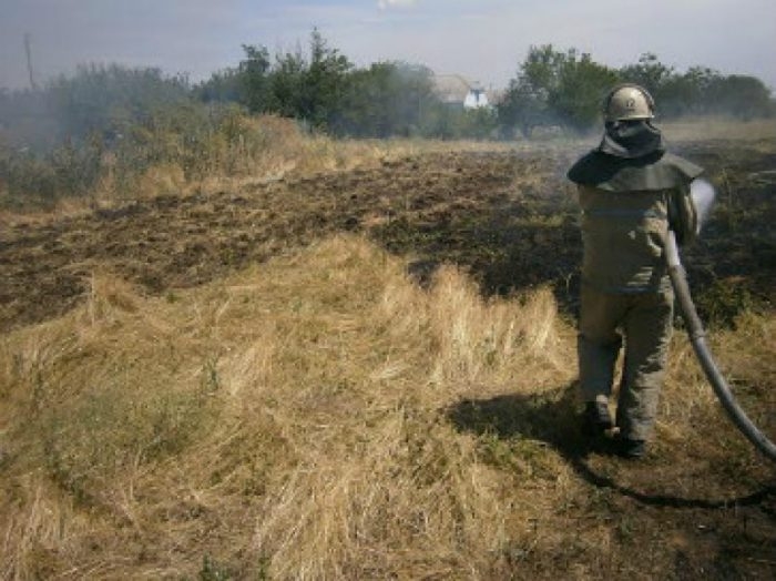 На Николаевщине горело поле пшеницы