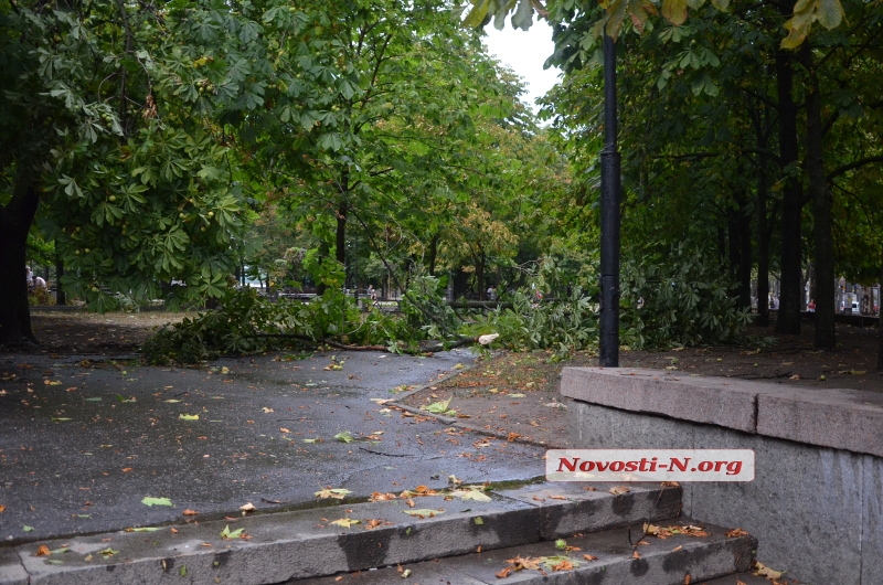  В Николаеве после дождя дороги затопило, а улицы засыпало ветками деревьев