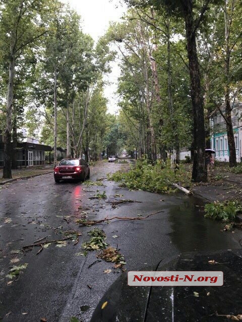  В Николаеве после дождя дороги затопило, а улицы засыпало ветками деревьев