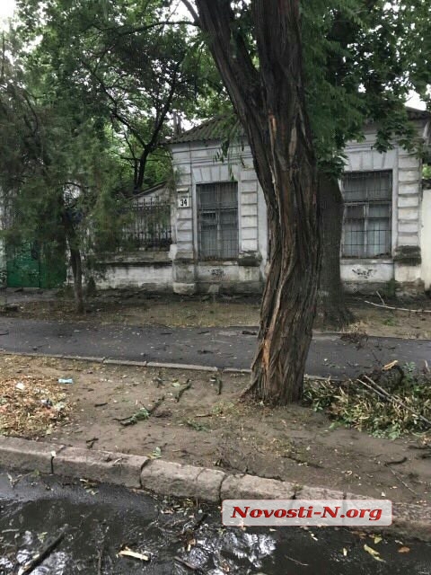  В Николаеве после дождя дороги затопило, а улицы засыпало ветками деревьев