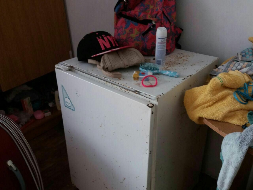 База отдыха в Коблево, где отравились 18 детей, приняла их незаконно, - Госпродпотребслужба