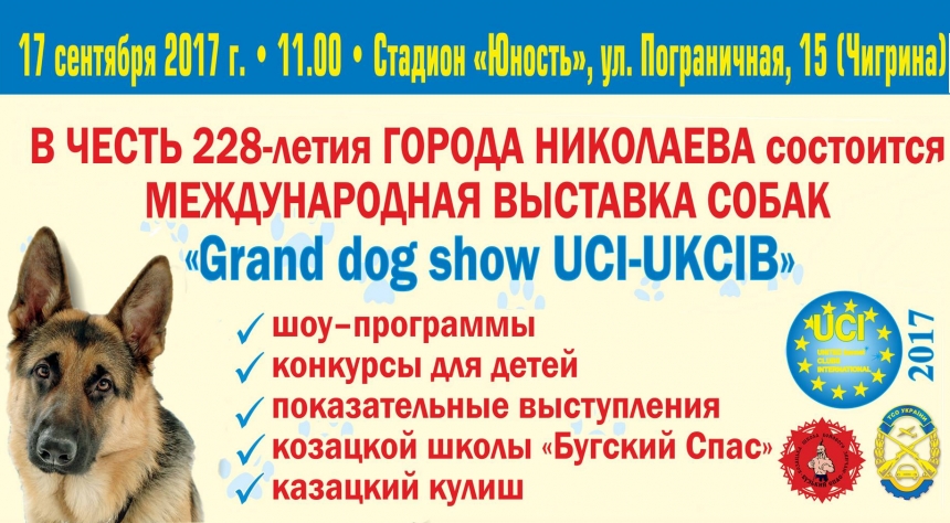 Николаевцев приглашают на Международную выставку собак