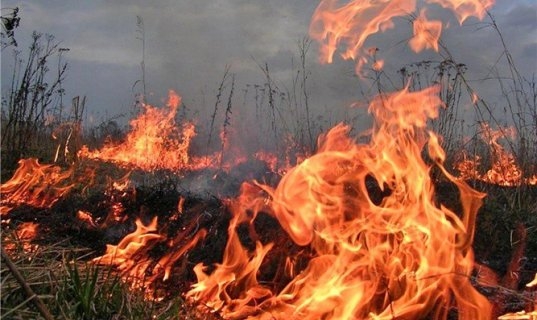 На Николаевщине до 15 сентября продержится высокий уровень пожароопасности 
