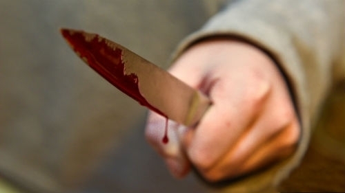 Житель Николаевщины порезал ножом жену на глазах у дочери