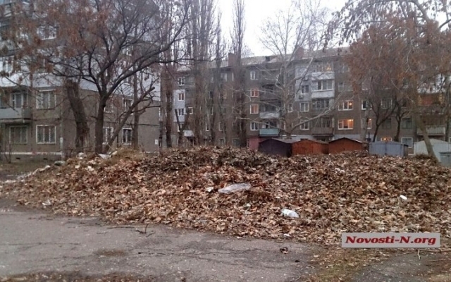 В Николаеве мастеров ЖЭКов штрафуют за листву во дворах