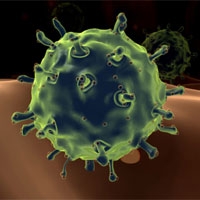 В Украине открыли новый вирус гриппа