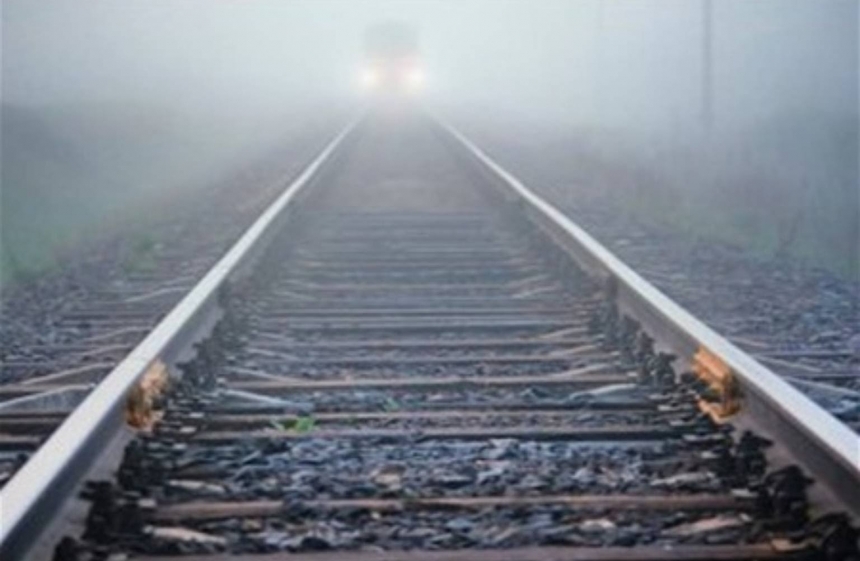 Под Харьковом грузовой поезд сбил насмерть пенсионерку, которая пасла коз