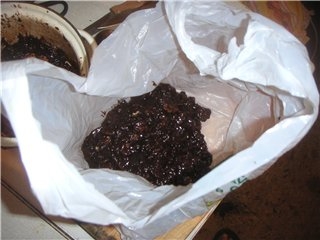 У жителя Николаевщины нашли 150 граммов каннабиса, которые он купил якобы для собственного употребления