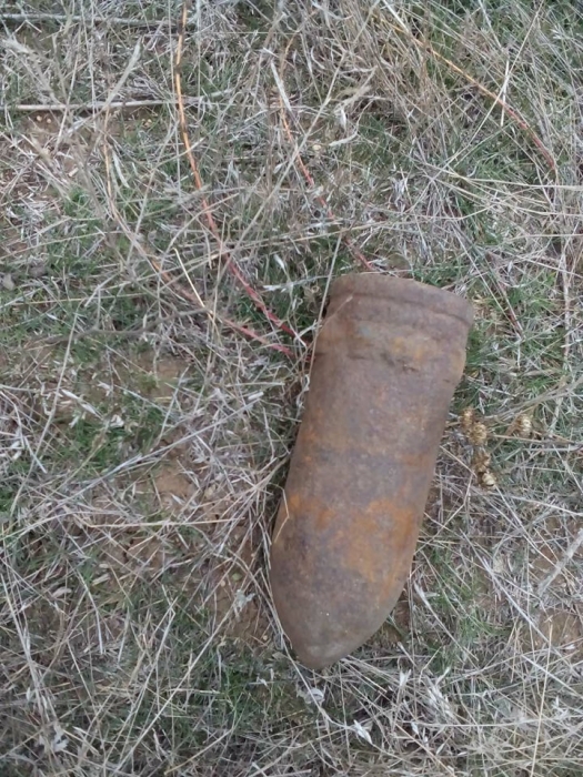 На Николаевщине мужчина нашел артснаряд калибром 76 мм