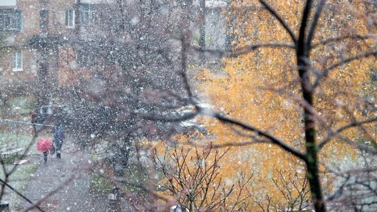 Снег и мороз придут в Украину с запада страны уже на неделе