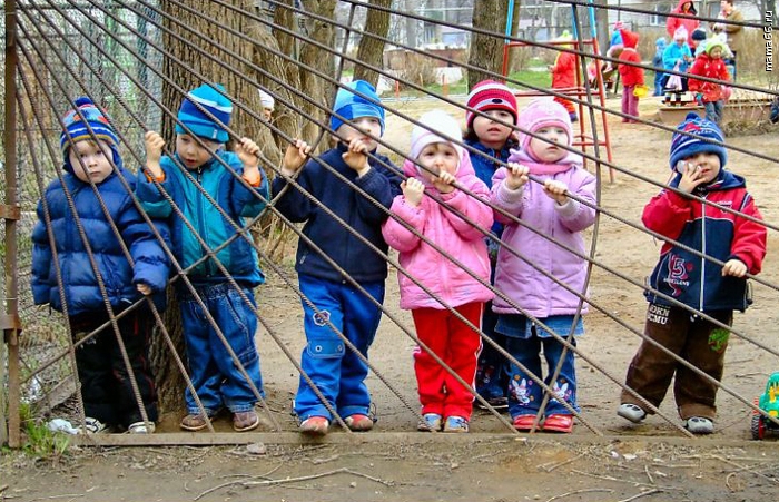В очереди в детсады в Украине стоят 47 тысяч детей