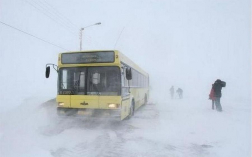 Перевозчик кострома авто