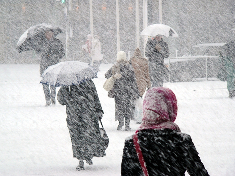Часть Украины накроет активный циклон: ожидаются метели, гололед и снег до 20 см