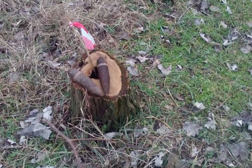 На Николаевщине уничтожили боеприпасы времен прошлых войн