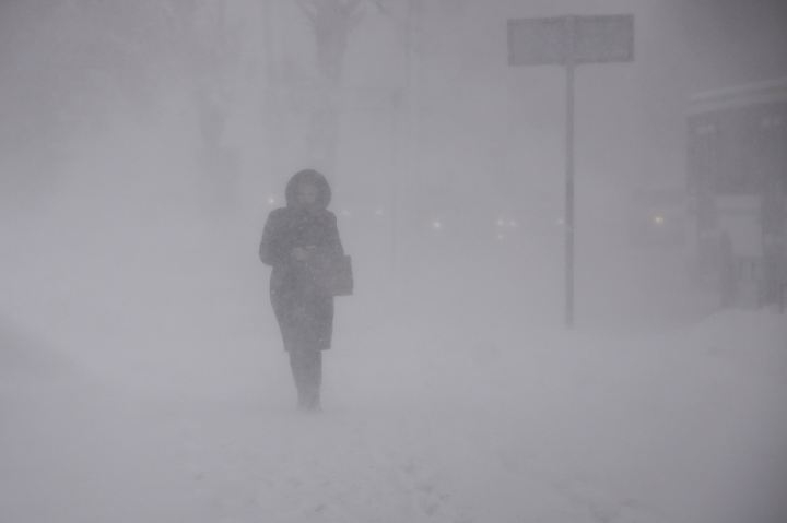 Непогода не сдает позиций: завтра в Николаеве ожидаются метель, ветер и сильный снег