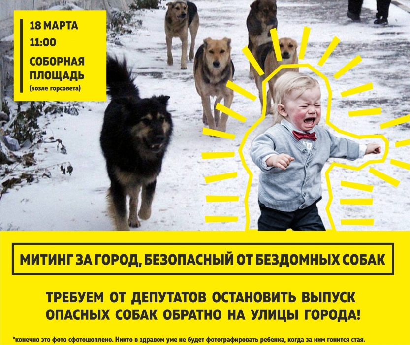 В Николаеве пройдет митинг за усыпление бездомных собак