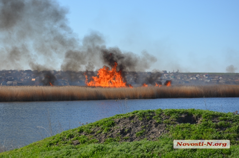 Вокруг Николаева пылают пожары: браконьеры массово выжигают камыш