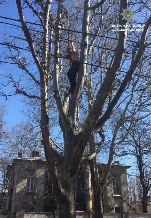 В Одессе на дереве пытался повеситься мужчина 