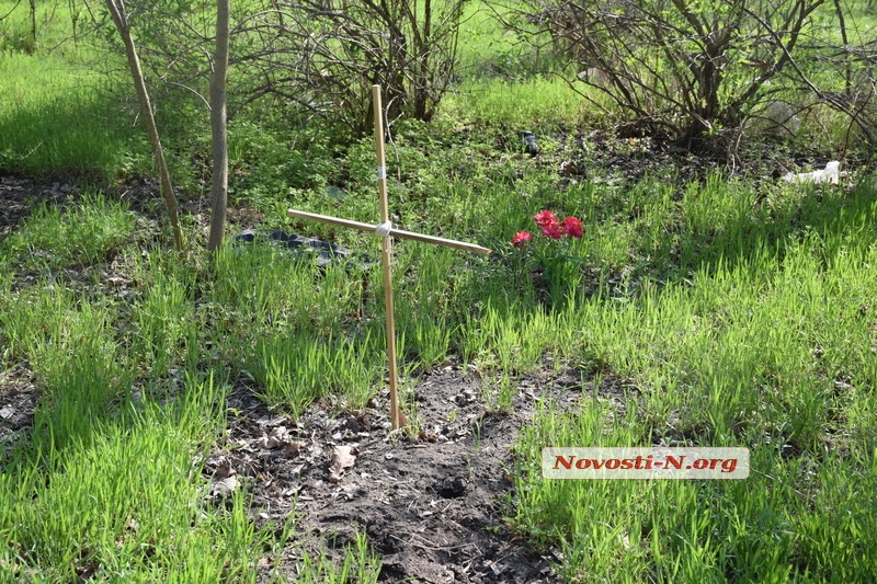  В Николаеве устроили стихийное кладбище домашних животных: на могилах ставят кресты