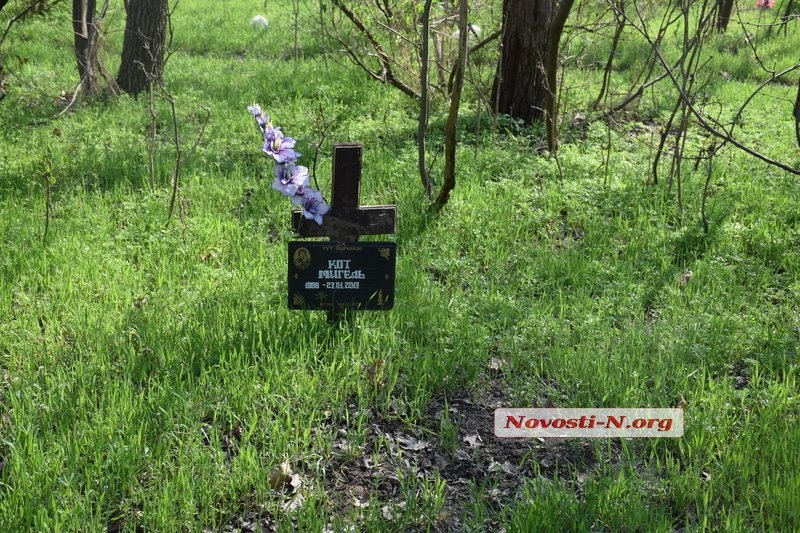 В Николаеве организуют кладбище для кошек и собак