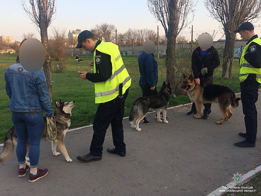 В Николаеве за выгул собак без намордников начали составлять протоколы
