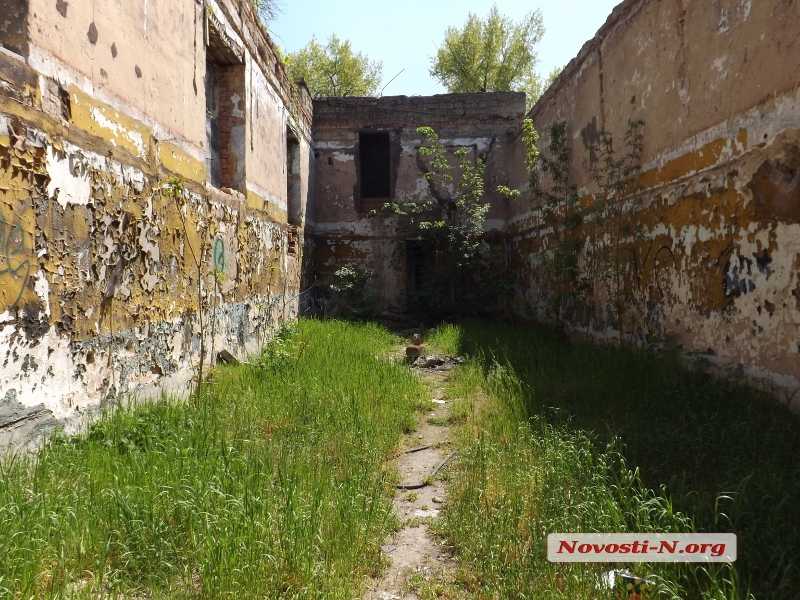 Волшебный родник, спаси! Репортаж из обычного николаевского парка