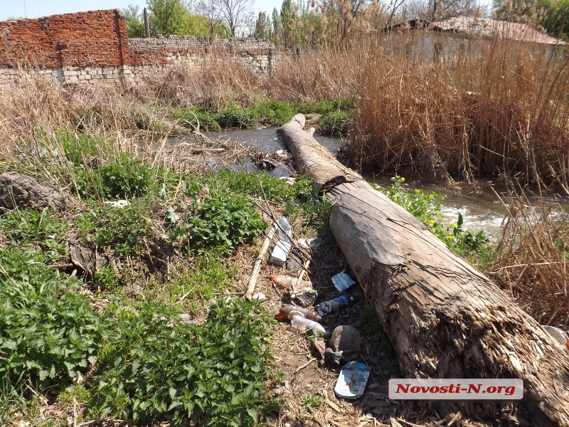 Волшебный родник, спаси! Репортаж из обычного николаевского парка