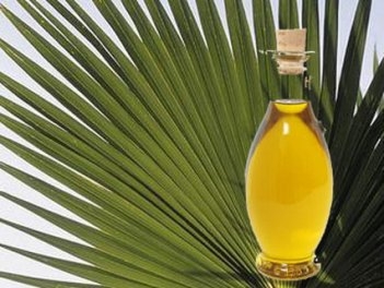 Законопроект о запрете пальмового масла в продуктах принят за основу