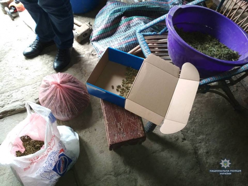 На Николаевщине у торговца наркотиками нашли марихуану на 60 тысяч гривен
