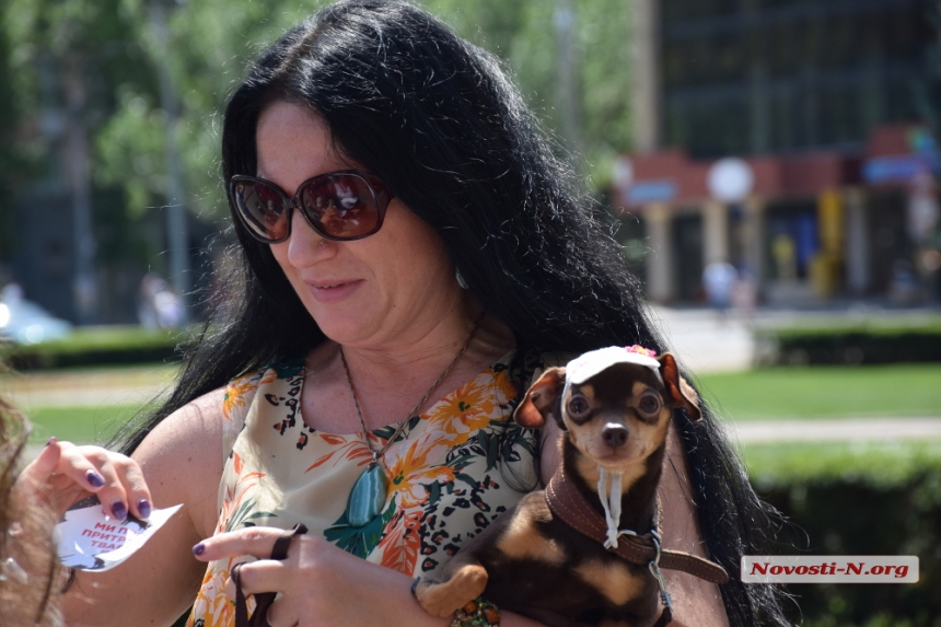«Человек собаке друг!»: в Николаеве зоозащитники провели пикет против притравки животных